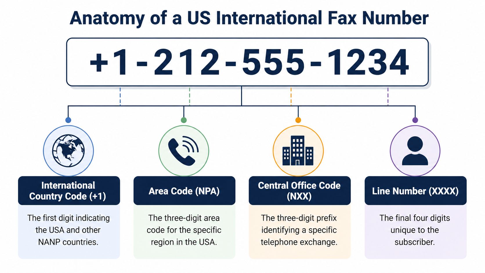 international country code for usa fax anatomy